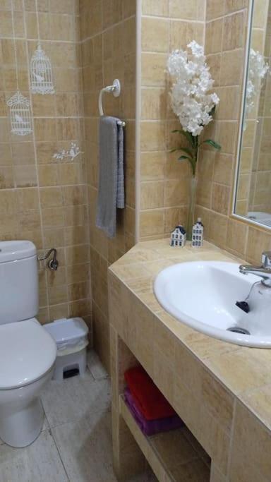 Ferienwohnung Bonito Apartamento Jv36 Córdoba Exterior foto